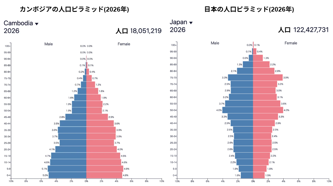 カンボジア/日本人人口ピラミッド(2026年)