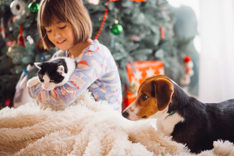 プノンペンのおすすめペット可物件5選｜猫・小型犬OKな賃貸アパート紹介【2025年版】