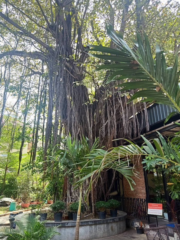 公園内にあるカフェ